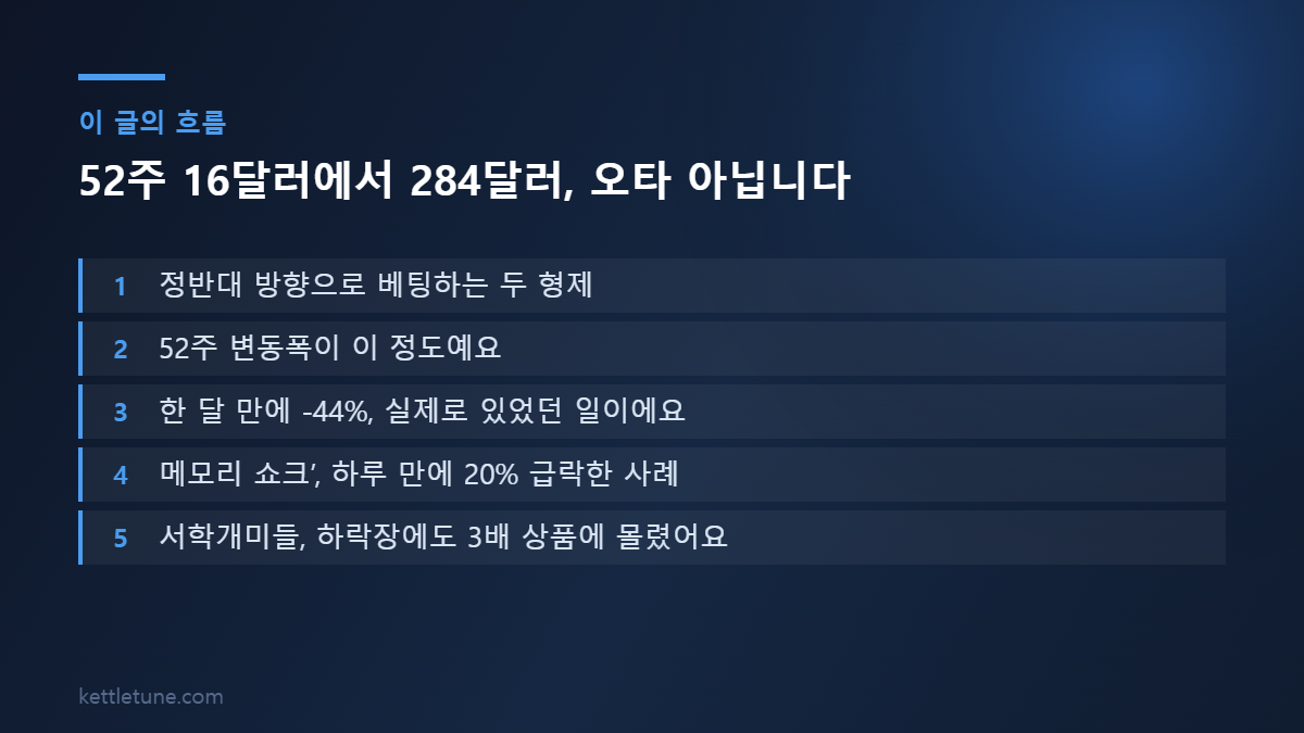 52주 16달러에서 284달러, 오타 아닙니다 핵심 흐름 요약: 정반대 방향으로 베팅하는 두 형제, 52주 변동폭이 이 정도예요, 한 달 만에 -44%, 실제로 있었던 일이에요